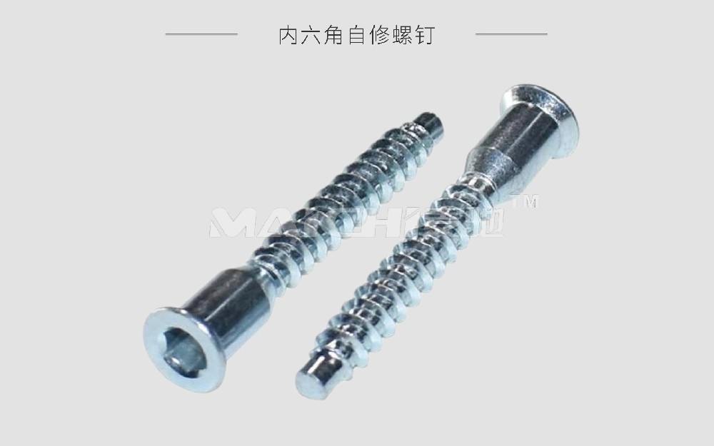 Hex Socket Self-Tapping Screw